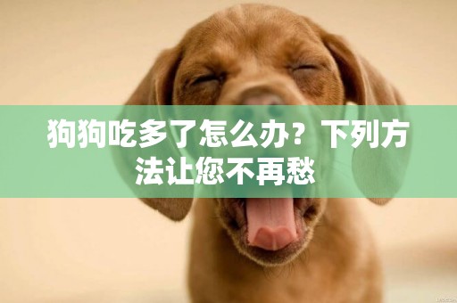 狗狗吃多了怎么辦？下列方法讓您不再愁 