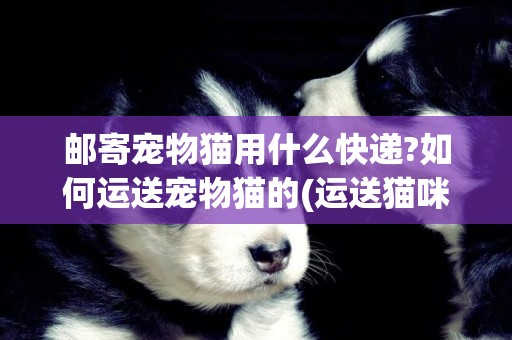 郵寄寵物貓用什么快遞?如何運送寵物貓的(運送貓咪用什么快遞?) 