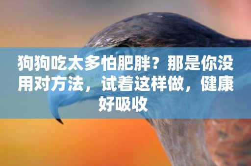 狗狗吃太多怕肥胖？那是你沒用對方法，試著這樣做，健康好吸收 