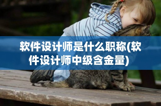 軟件設計師是什么職稱(軟件設計師中級含金量) 