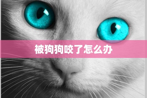 被狗狗咬了怎么辦