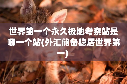 世界第一個永久極地考察站是哪一個站(外匯儲備穩居世界第一) 