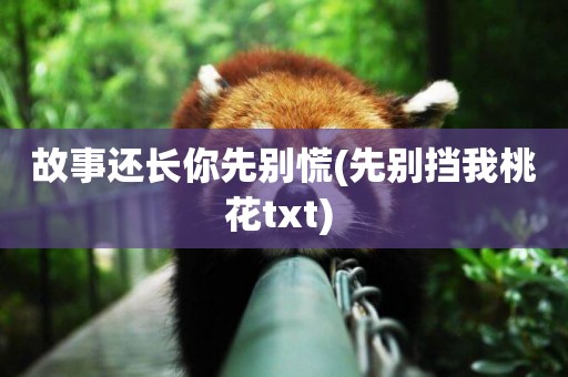 故事還長你先別慌(先別擋我桃花txt) 