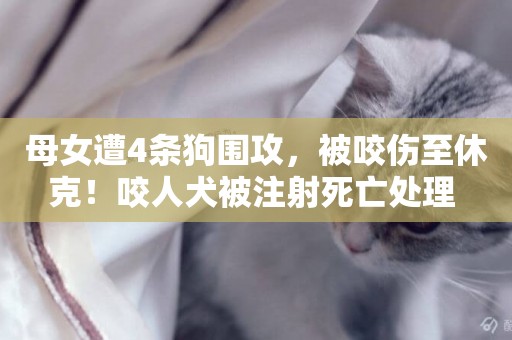 母女遭4條狗圍攻，被咬傷至休克！咬人犬被注射死亡處理 