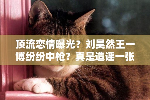 頂流戀情曝光？劉昊然王一博紛紛中槍？真是造謠一張嘴辟謠跑斷腿 