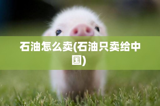 石油怎么賣(石油只賣給中國) 
