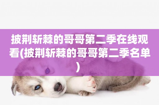 披荊斬棘的哥哥第二季在線觀看(披荊斬棘的哥哥第二季名單) 