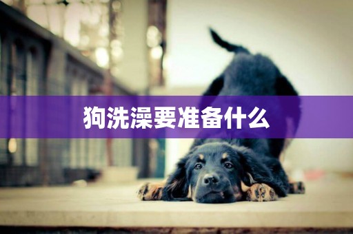 狗洗澡要準備什么