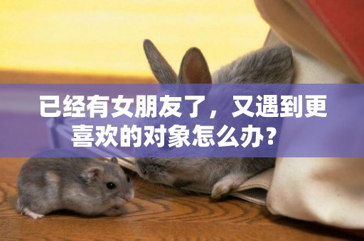 已經有女朋友了，又遇到更喜歡的對象怎么辦？ 