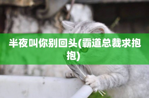 半夜叫你別回頭(霸道總裁求抱抱) 