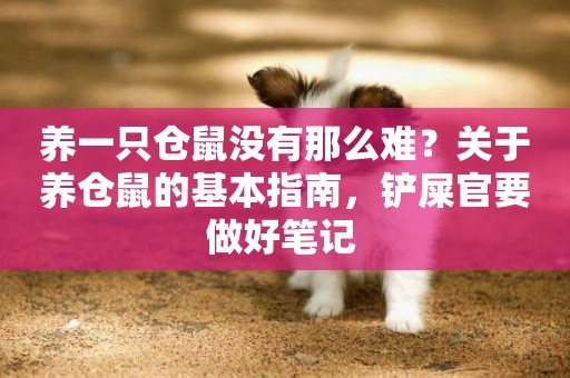 養一只倉鼠沒有那么難？關于養倉鼠的基本指南，鏟屎官要做好筆記 