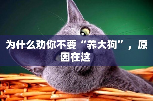 為什么勸你不要“養大狗”，原因在這 