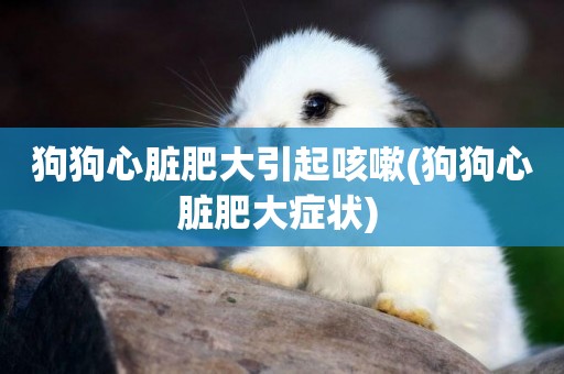 狗狗心臟肥大引起咳嗽(狗狗心臟肥大癥狀) 