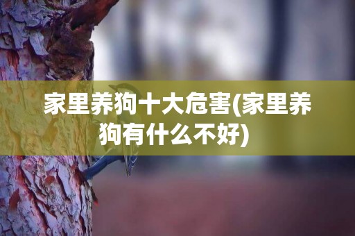 家里養狗十大危害(家里養狗有什么不好) 