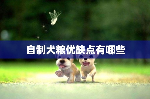 自制犬糧優缺點有哪些