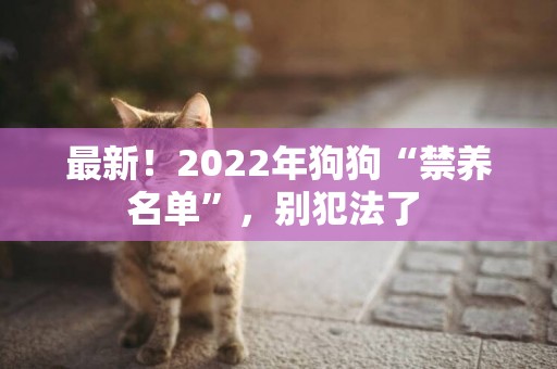 最新！2022年狗狗“禁養名單”，別犯法了 