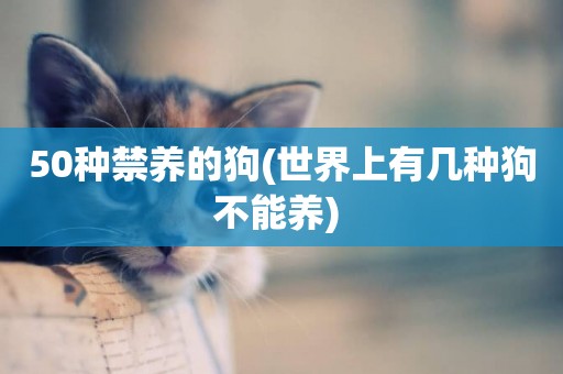 50種禁養的狗(世界上有幾種狗不能養) 