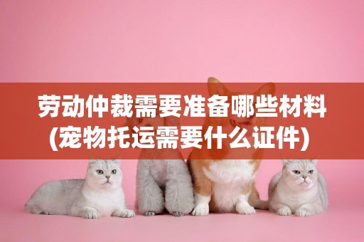 勞動仲裁需要準備哪些材料(寵物托運需要什么證件) 