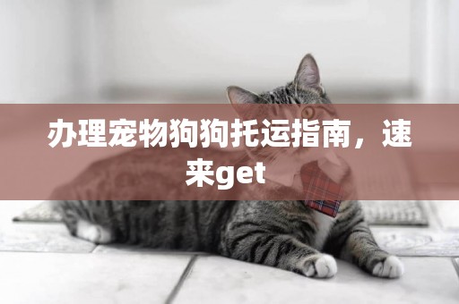 辦理寵物狗狗托運指南，速來get 