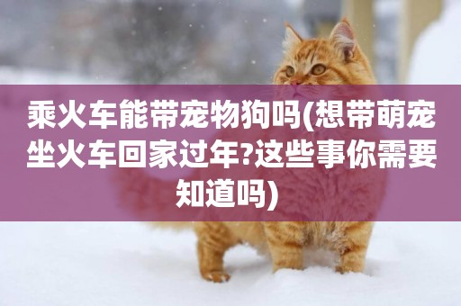乘火車能帶寵物狗嗎(想帶萌寵坐火車回家過年?這些事你需要知道嗎) 