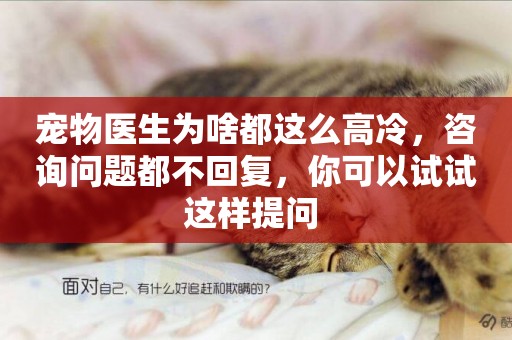 寵物醫生為啥都這么高冷，咨詢問題都不回復，你可以試試這樣提問 