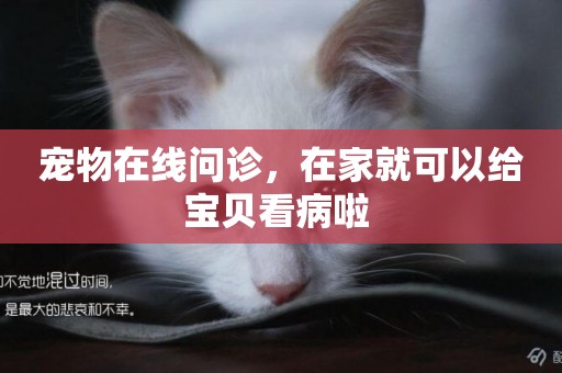 寵物在線問診，在家就可以給寶貝看病啦 