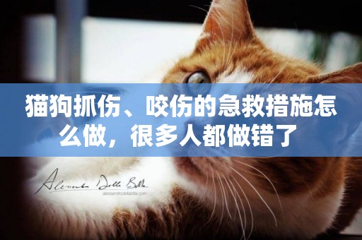貓狗抓傷、咬傷的急救措施怎么做，很多人都做錯了 