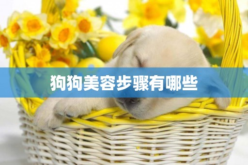 狗狗美容步驟有哪些