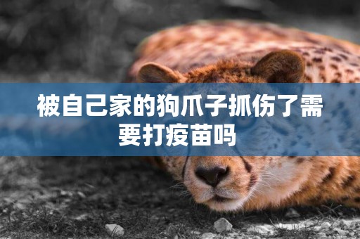 被自己家的狗爪子抓傷了需要打疫苗嗎 