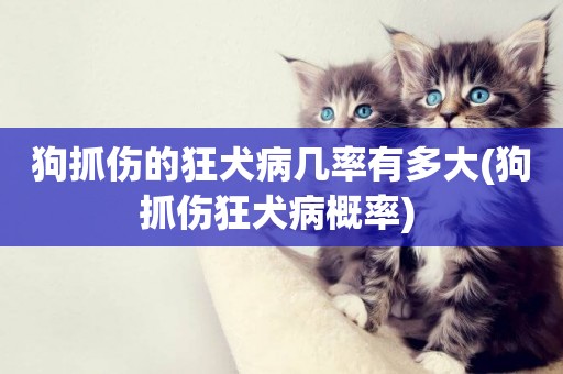 狗抓傷的狂犬病幾率有多大(狗抓傷狂犬病概率) 