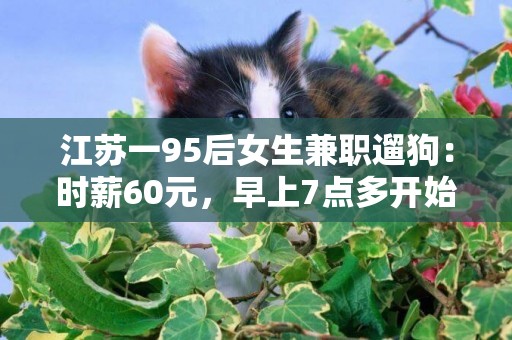 江蘇一95后女生兼職遛狗：時薪60元，早上7點多開始工作，主要靠回頭客與介紹人接單 