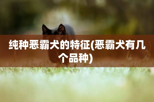 純種惡霸犬的特征(惡霸犬有幾個品種) 