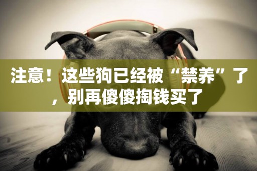 注意！這些狗已經被“禁養”了，別再傻傻掏錢買了 