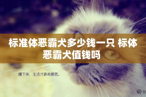 標準體惡霸犬多少錢一只 標體惡霸犬值錢嗎 