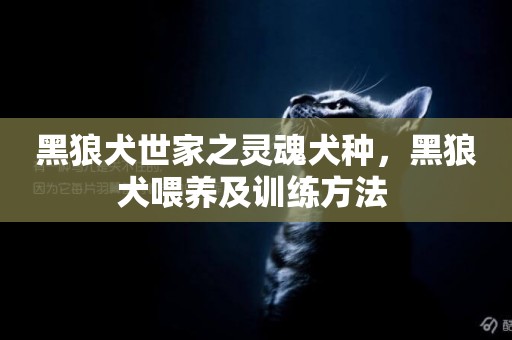 黑狼犬世家之靈魂犬種，黑狼犬喂養及訓練方法 