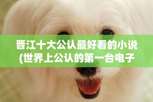 晉江十大公認最好看的小說(世界上公認的第一臺電子計算機誕生的年代是) 