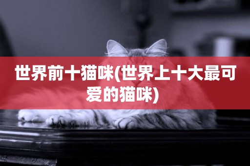 世界前十貓咪(世界上十大最可愛的貓咪) 