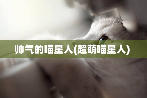 帥氣的喵星人(超萌喵星人) 