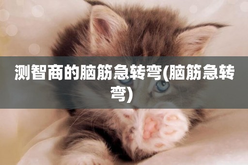 測智商的腦筋急轉彎(腦筋急轉彎) 