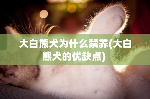 大白熊犬為什么禁養(大白熊犬的優缺點) 