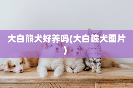 大白熊犬好養嗎(大白熊犬圖片) 