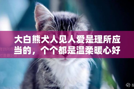大白熊犬人見人愛是理所應當的，個個都是溫柔暖心好脾氣的天使 