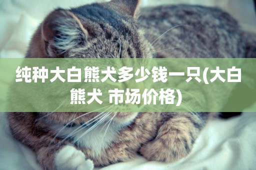 純種大白熊犬多少錢一只(大白熊犬 市場價格) 