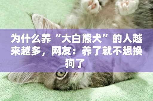 為什么養“大白熊犬”的人越來越多，網友：養了就不想換狗了 