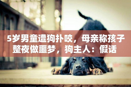 5歲男童遭狗撲咬，母親稱孩子整夜做噩夢，狗主人：假話 