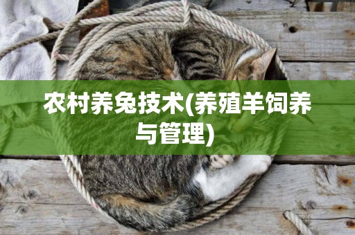 農村養兔技術(養殖羊飼養與管理) 