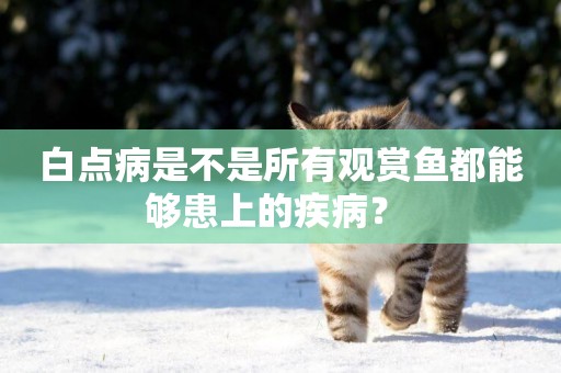 白點病是不是所有觀賞魚都能夠患上的疾病？ 