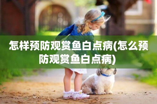 怎樣預防觀賞魚白點病(怎么預防觀賞魚白點病) 