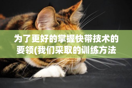 為了更好的掌握快帶技術的要領(我們采取的訓練方法應是) 