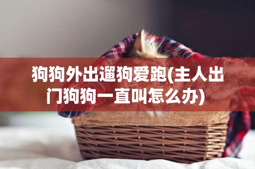 狗狗外出遛狗愛跑(主人出門狗狗一直叫怎么辦) 